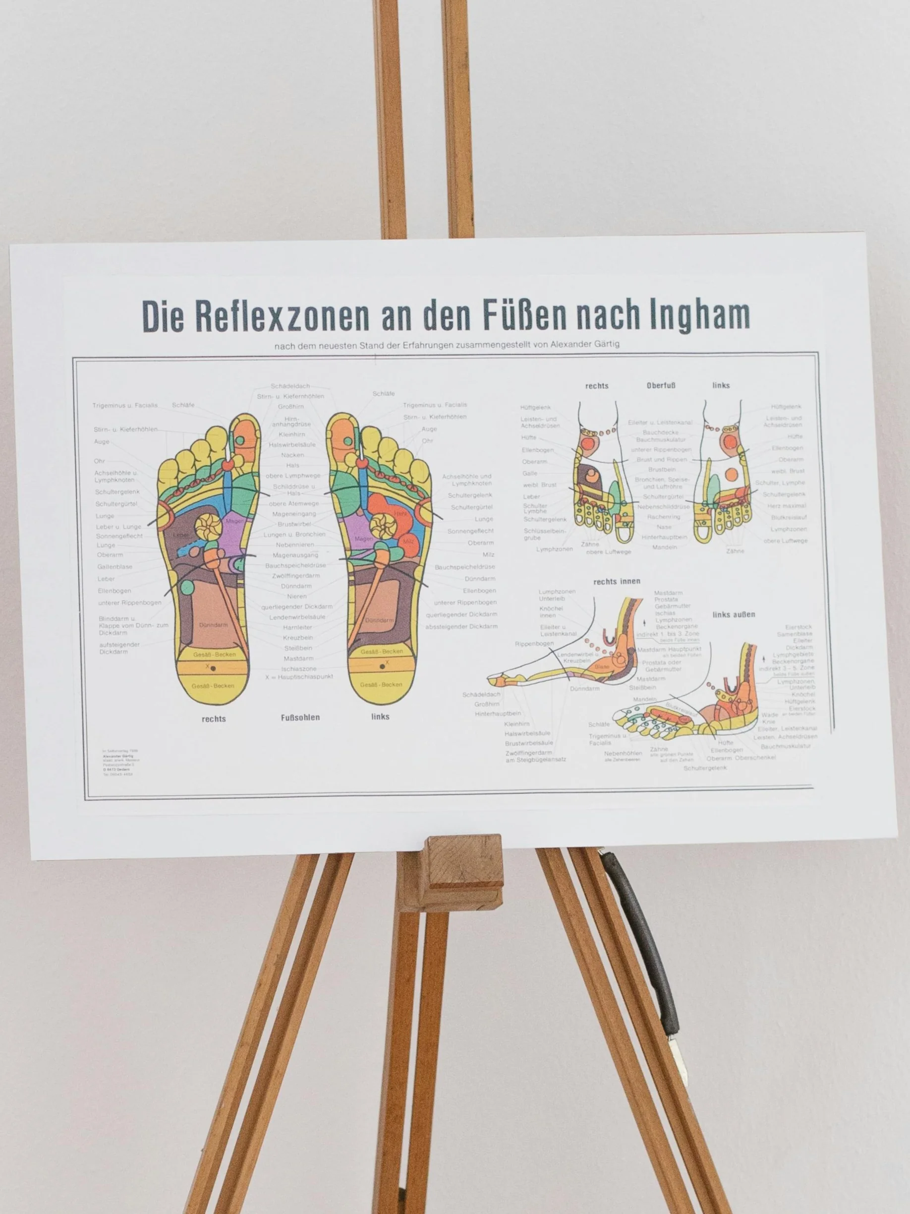 Um mapa reflexológico do pé num suporte de madeira, a mostrar as zonas de reflexologia