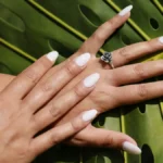 Fotografia de estúdio de unhas de acrílico acabadas de fazer, em formato amêndoa e tom nude, sobre um fundo de folha de palmeira